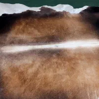 پوست گاو دباغی شده|صنایع دستی و سایر لوازم تزئینی|ری, جوانمرد قصاب|دیوار