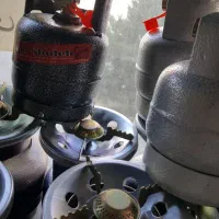 پیک نیک ۱کیلویی با سری خوراکپز|اجاق گاز و لوازم برقی پخت‌وپز|شیراز, شهرک گلستان|دیوار