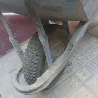 فرقون