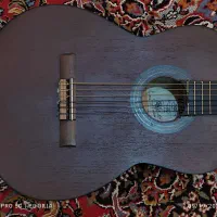 گیتار +MV2 وفایی نو|گیتار، بیس، امپلیفایر|اصفهان, گلستان|دیوار