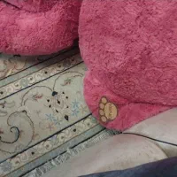 شاسخین خارجی نو|اسباببازی بچه|اصفهان, همتآباد|دیوار