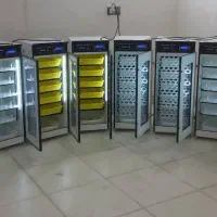 گواهی‌نامه بین‌المللی IMS/دستگاه جوجه کشی