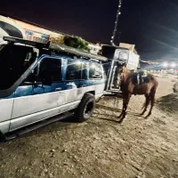 اسبکش در تهران