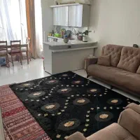 همخونه سالم