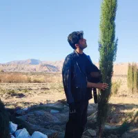 فروش سرو درجه یک ناز شیراز اصل|گل و گیاه طبیعی|تهران, جوادیه تهرانپارس|دیوار