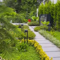 مشارکت زمین از ما شهرک ساختن از شما
