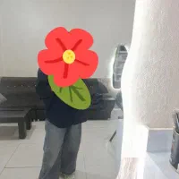 اجاره لاین ها با اجاره مناسب در گلشهر