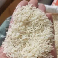 برنج هاشمی الک زده درجه یک