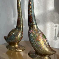 قو برنزی جفت