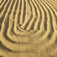 برنج کامفیروزی اعلا و معطر|خوردنی و آشامیدنی|شیراز, کوهسار|دیوار