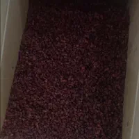 زرشک اعلا درجه ۲