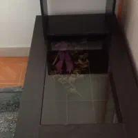 میز عسلی|مبلمان خانگی و میز عسلی|کرج, حصارک بالا|دیوار