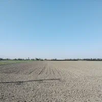 زمین-کشاورزی-شش-هزار-متر-مربع