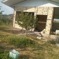 تعمیرات ساختمان|خدمات پیشه و مهارت|میانه, |دیوار