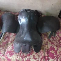 زین عبدالخالق قدیمی