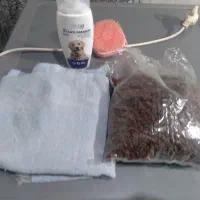 بوبی شیتزو اصل نر ۱۵۰۰تومن|سگ|مشگین شهر, |دیوار