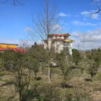 1100 متری تماما مسکونی