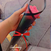 همشهری های عزیز روز پدر و روز مرد نزدیکه|گل مصنوعی|بندر امام خمینی, |دیوار