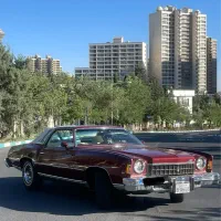 شورولت مونت کارلو ۱۹۷۵|خودرو کلاسیک|تهران, نیاوران|دیوار