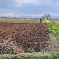 زمین کشاورزی نیم هکتار بعد از رادکان|فروش دفتر صنعتی، کشاورزی، تجاری|خرمدشت, |دیوار