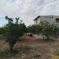 فروش باغ در شربیان
