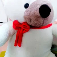 خرس اسباب بازی|اسباب‌بازی بچه|برازجان, |دیوار