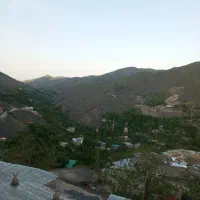 سو بیت اجاره ای