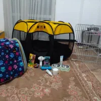 لوازم‌پت پامر باکس فنس کوله|لوازم جانبی حیوانات|شاهرود, |دیوار