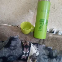 فلاکس چای لیوان دار سالمه سالم|قوری، کتری، قهوه‌ساز دستی|رشت, جماران|دیوار