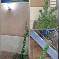 منزل-ویلایی-در-شهر-برزک