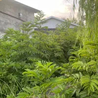 فروش-خانه-ویلایی-خ-امام-محمد-باقر