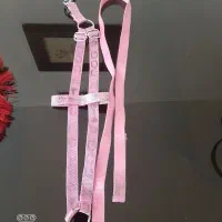 کولی برای سگ کوچک ودو تا قلاده|لوازم جانبی حیوانات|پردیس, فاز ۱۱|دیوار