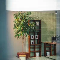 استخدام صبحانه زن رستوران گرن
