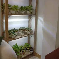 باکس چوبی