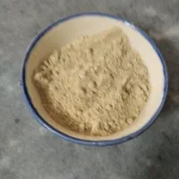 پودر استخوان ساز