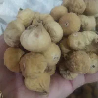 انجیر خشک|خوردنی و آشامیدنی|شیراز, شاه قلی بیگی|دیوار