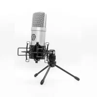 میکروفون حرفه ای Karen audio