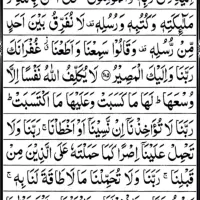 کار در منزل خودم