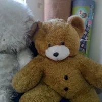 عروسک پشمی ۵۰۰هزار