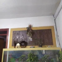 شخصی