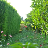 عکاسی و تصویربرداری