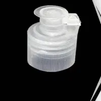 درب شامپویی