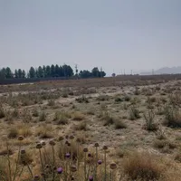 زمین.زمین کشاورزی|فروش دفتر صنعتی، کشاورزی، تجاری|شیراز, ارم|دیوار