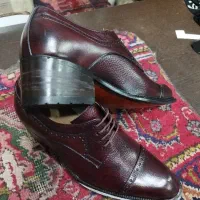 زرشکی مخصوص شمس تبریز