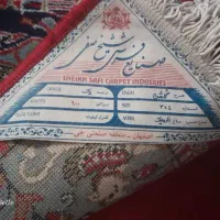 فرش ۱۲ متری تراکم۹۰۰۰،سالم|فرش|مشهد, گلشور|دیوار