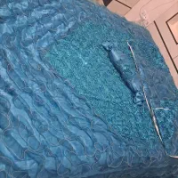 روتختی|سرویس روتختی|اسلام‌شهر, شهرک قائمیه|دیوار