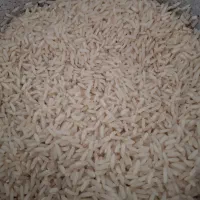 برنج هاشمی