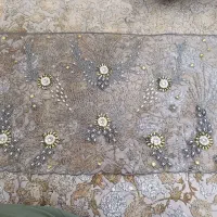 شال ولچک|لباس|بیستون, |دیوار