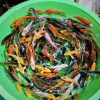 ماهی کوی|ماهی|نجف‌آباد, امیرآباد|دیوار