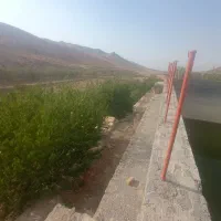باغ ۵۰۰۰متری کرمجگان|فروش زمین و ملک کلنگی|قم, بکایی|دیوار